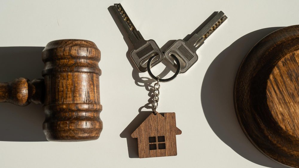 Арест имущества должника судебными приставами - основания и исключения