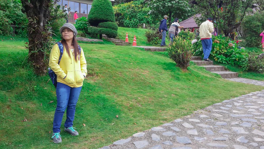 Амнистия дачных участков и закон о дачной амнистии