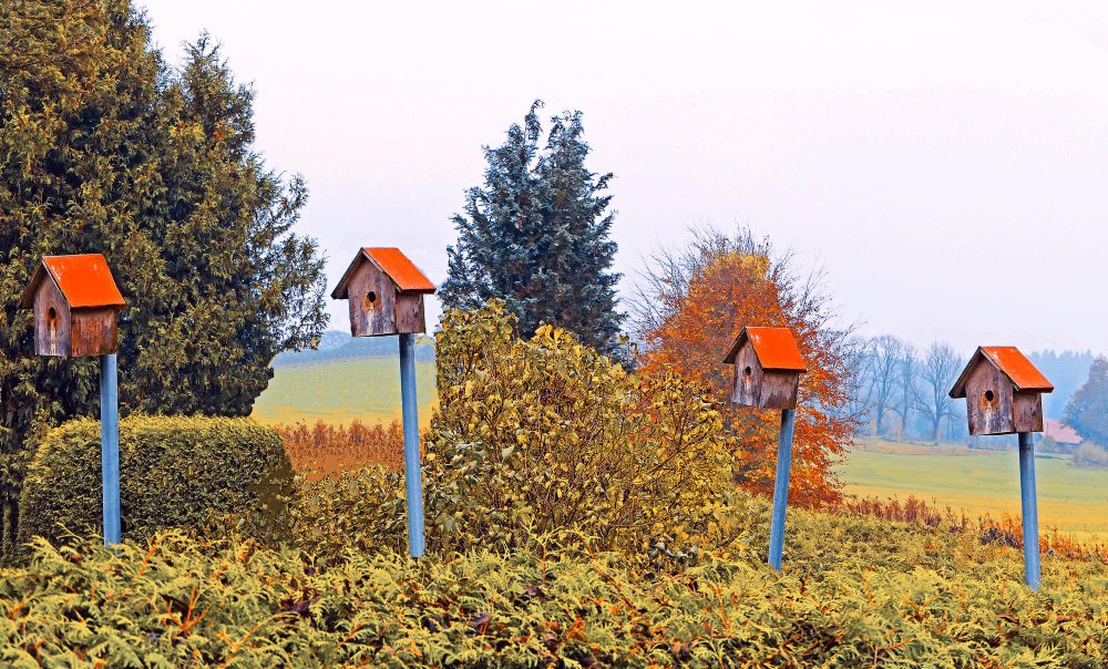 Амнистия дачных участков и закон о дачной амнистии