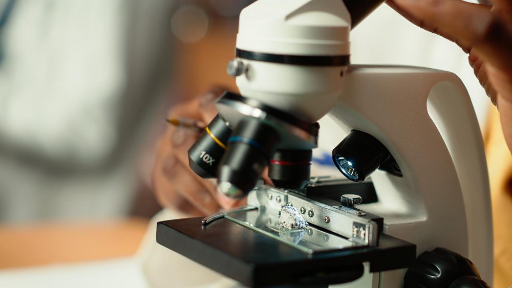 Olympus FV3000: передовые возможности для флуоресцентной микроскопии