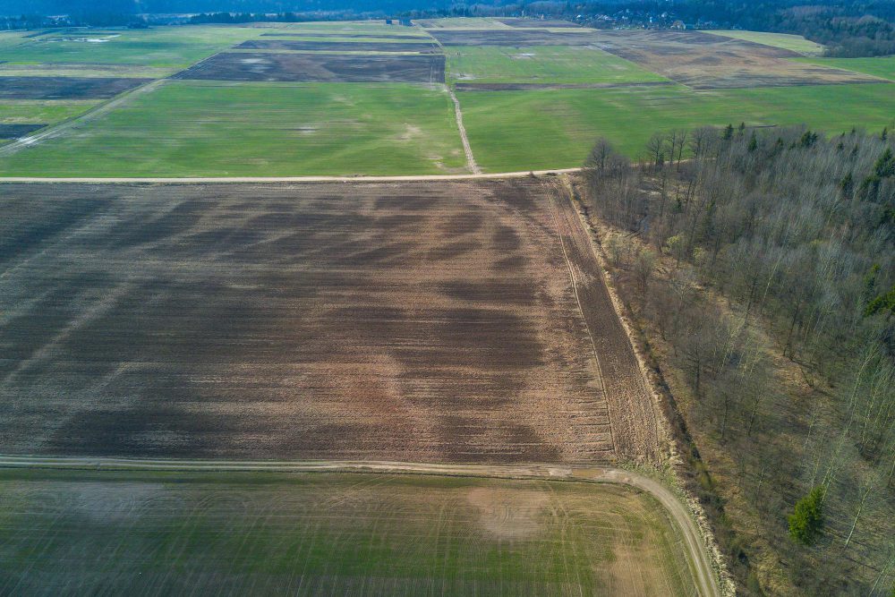 Земли сельскохозяйственного назначения