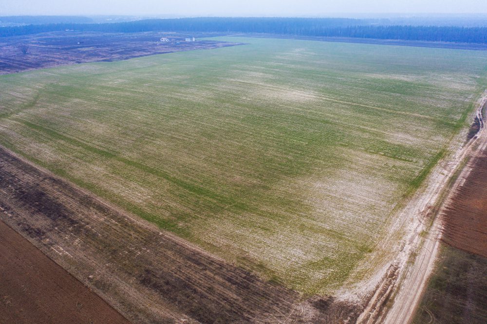 Земли сельскохозяйственного назначения