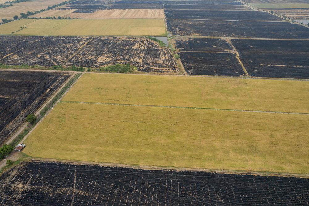 Земли сельскохозяйственного назначения