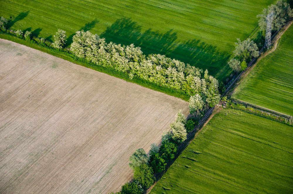 Земли сельскохозяйственного назначения