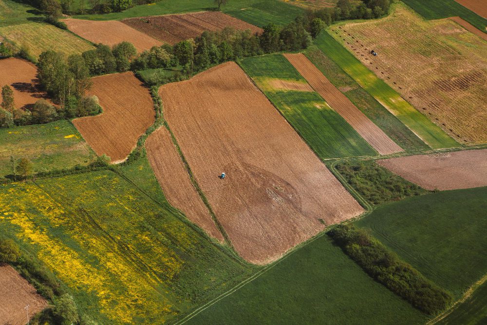 Земли сельскохозяйственного назначения
