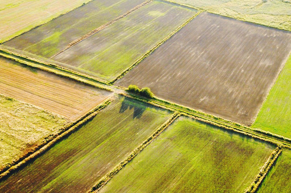 Земли сельскохозяйственного назначения