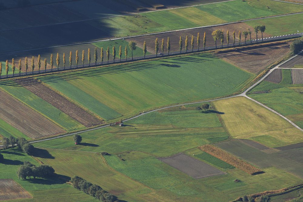 Земли сельскохозяйственного назначения